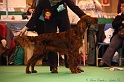 Crufts2011_2 162